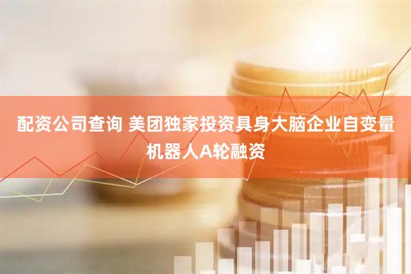 配资公司查询 美团独家投资具身大脑企业自变量机器人A轮融资